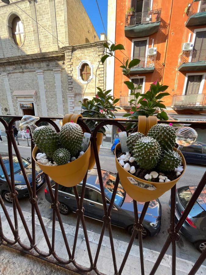 Apartment La Mattonella Monella